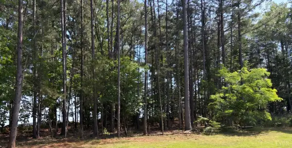0 Wyatts Way, Evington, VA 24550