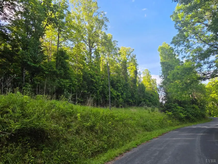 0 Dreaming Creek Road, Concord, VA 24538 - #3