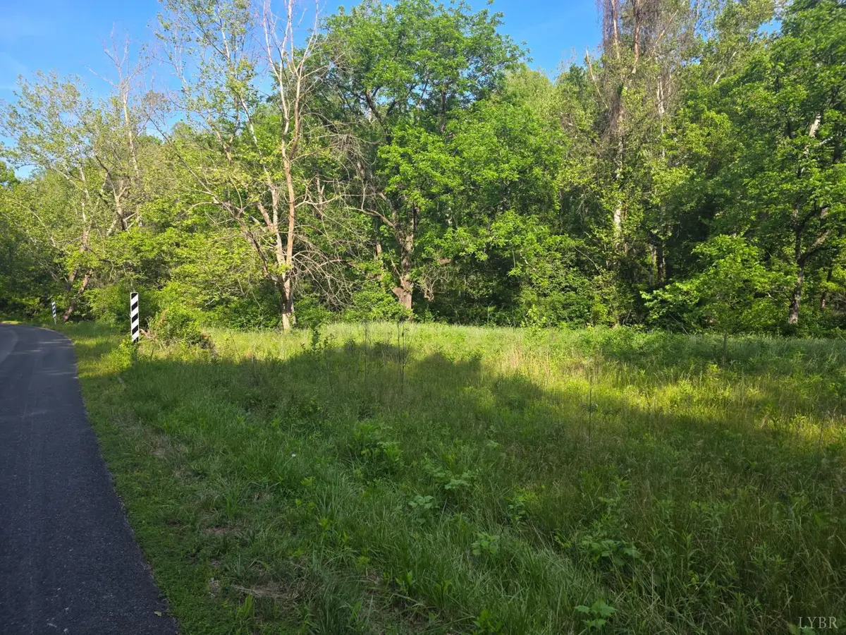 0 Dreaming Creek Road, Concord, VA 24538 - #1