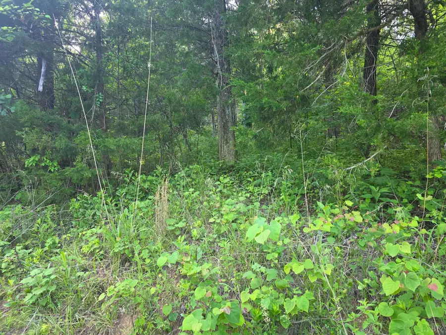 0 Dreaming Creek Road, Concord, VA 24538 - #3