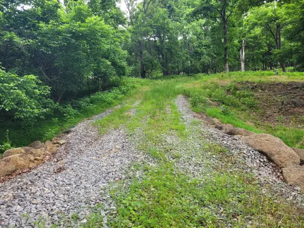 0 Murray Hollow Rd, Thaxton, VA 24174