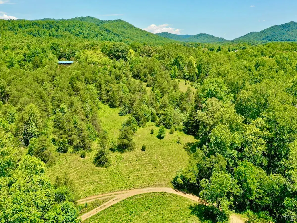 0 Cove Valley Ln, Faber, VA 22938 - #1