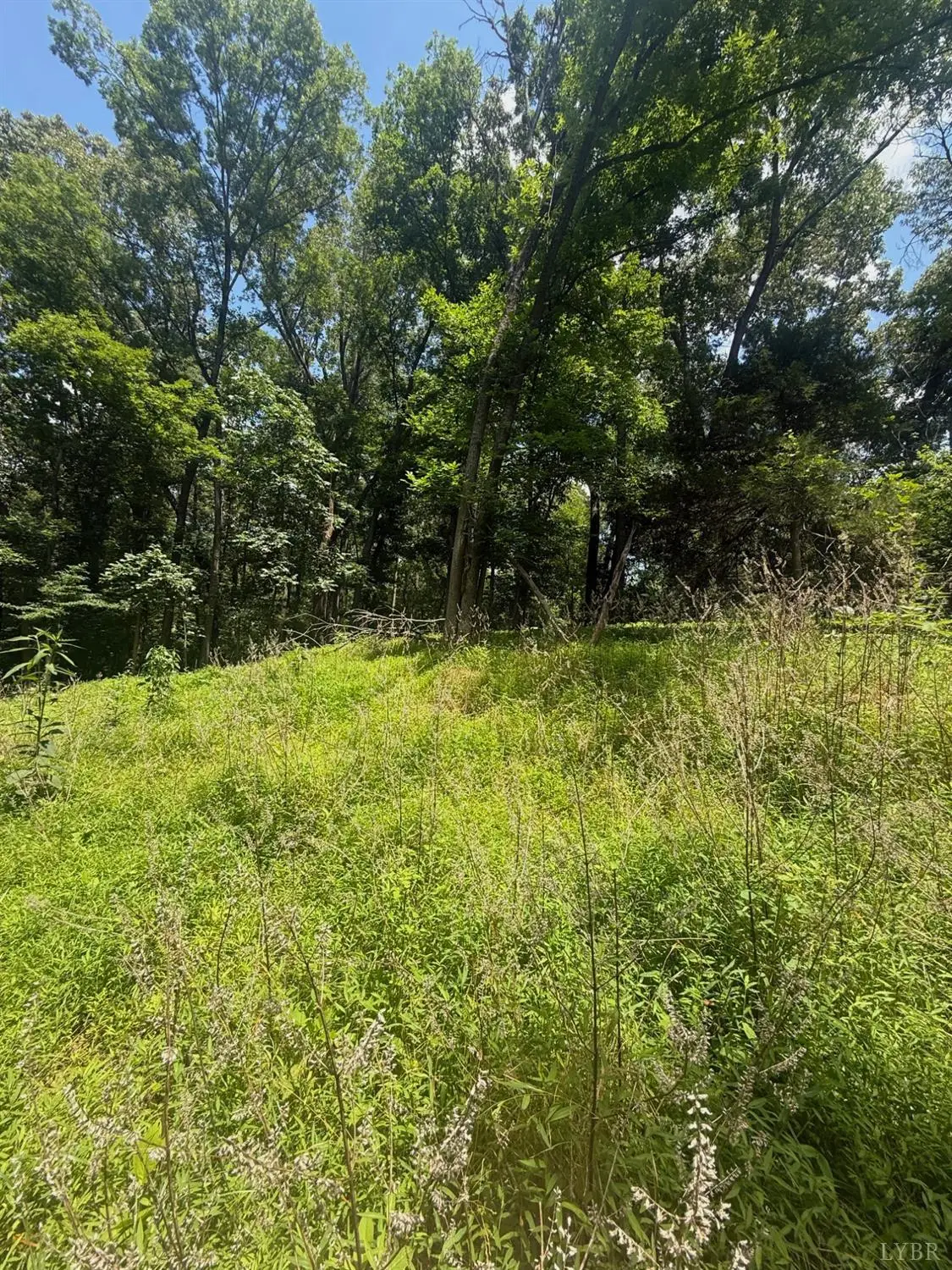 1712 Moormans Road, Lynchburg, VA 24501 - #1