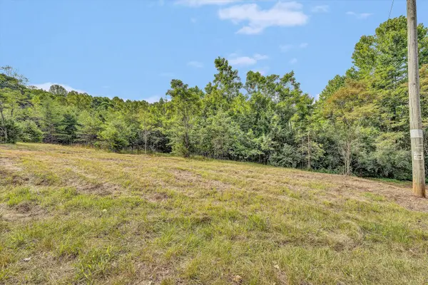 0 Stripers Cove Road, Goodview, VA 24095