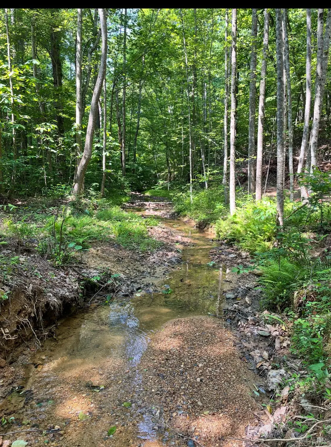 0 Christian Mill Creek Rd., Amherst, VA 24521 - #1