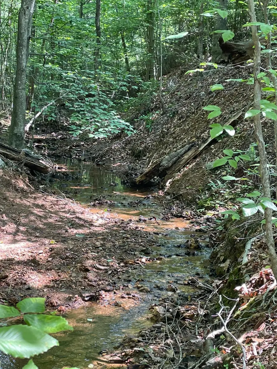 0 Christian Mill Creek Rd., Amherst, VA 24521 - #3