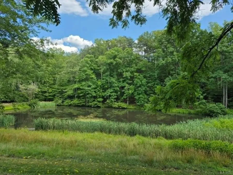 1243 Thornbird Place, Huddleston, VA 24104 - #2