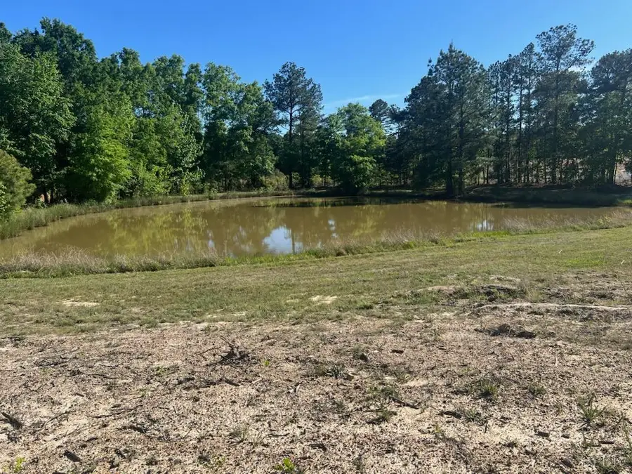 0 Throckmorton Trail, Scottsburg, VA 24589 - #2