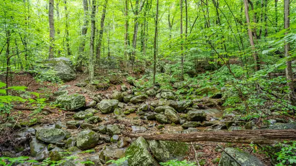1509 Spruce Creek, Nellysford, VA 22958