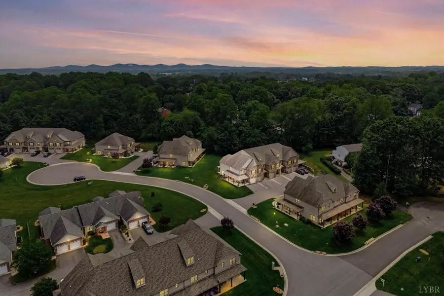 1031 Tori Court, Forest, VA 24551 - #2