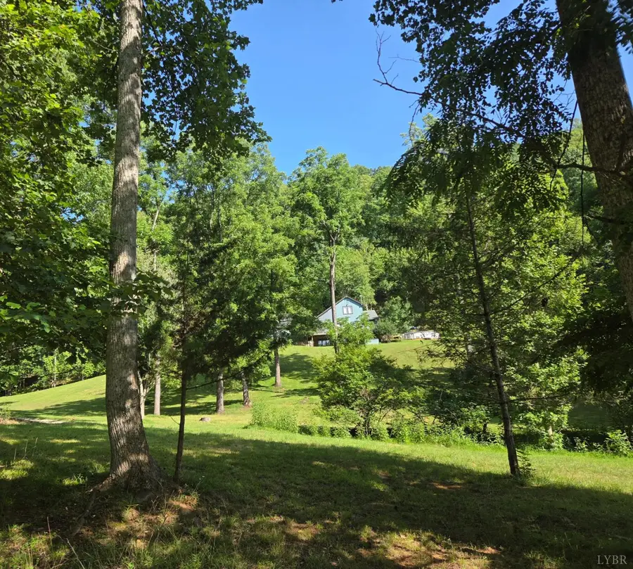 477 Briarwood Drive, Amherst, VA 24521 - #3