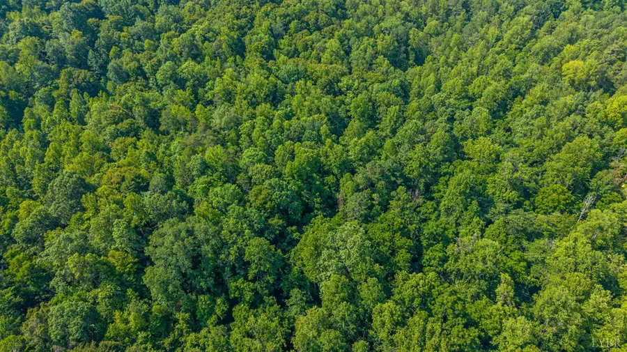 0 Mt Athos Road, Lynchburg, VA 24504 - #2