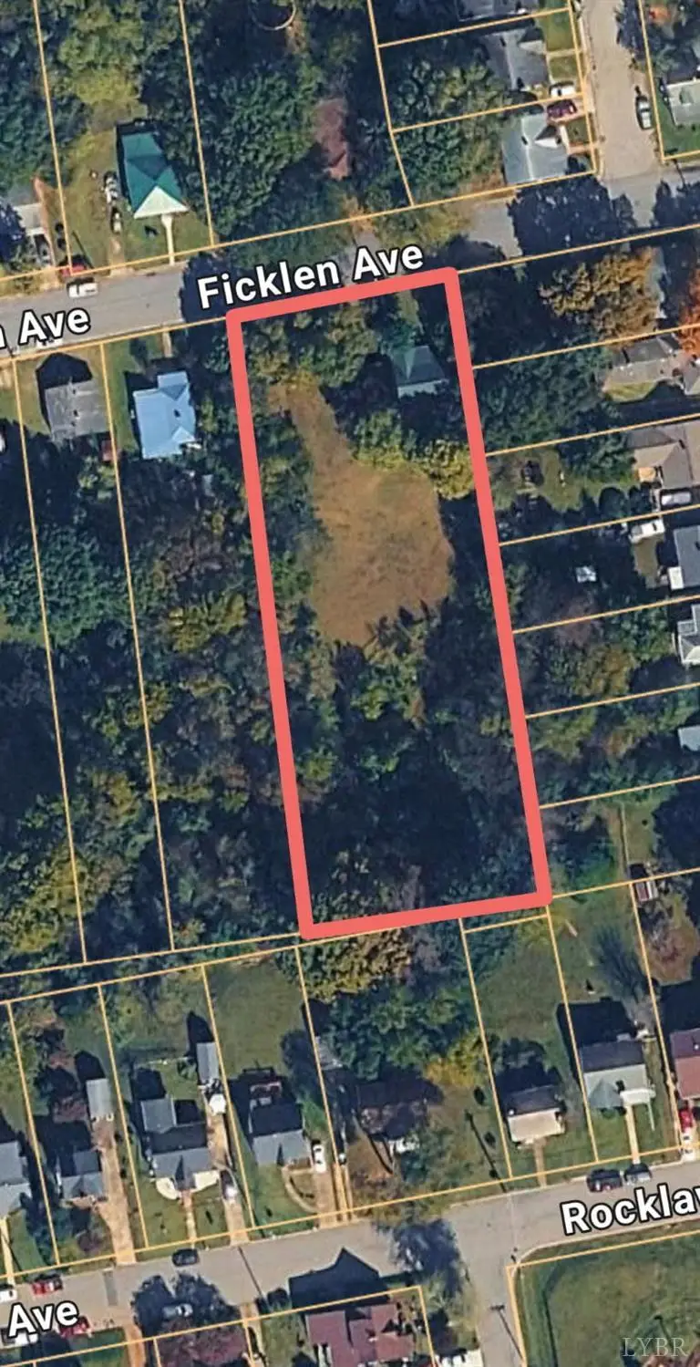 141 Ficklen Avenue, Danville, VA 24540 - #2