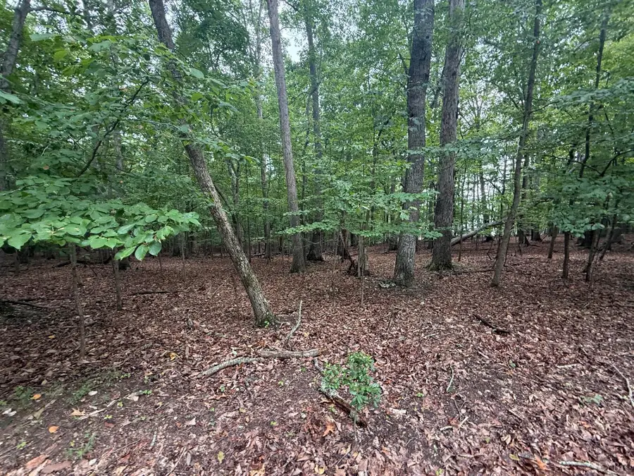 17 Saunders Point Road, Huddleston, VA 24104 - #3