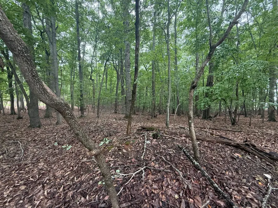18 Saunders Point Road, Huddleston, VA 24104 - #3