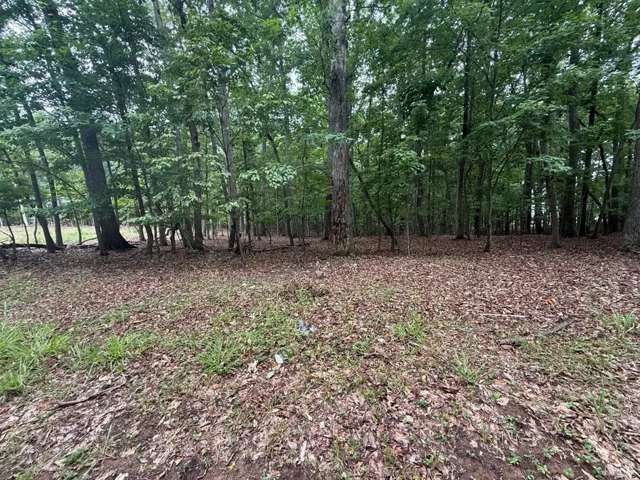 19 Saunders Point Road, Huddleston, VA 24104 - #3