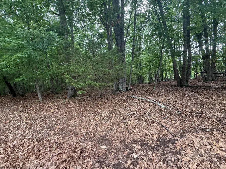 23 Lee Drive, Huddleston, VA 24104 - #2