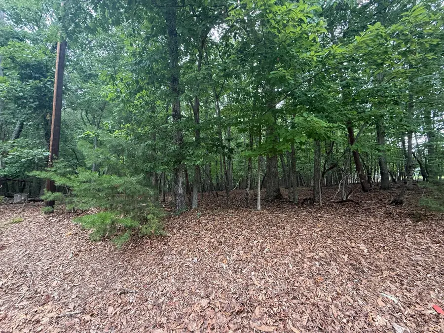 24 Lee Drive, Huddleston, VA 24104 - #3