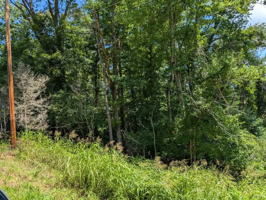 113 Pleasantview Drive, Lynchburg, VA 24501 - #2