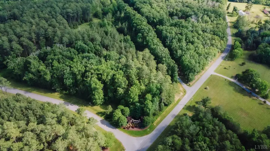 305 Runaway Bay Road, Lynch Station, VA 24571 - #3