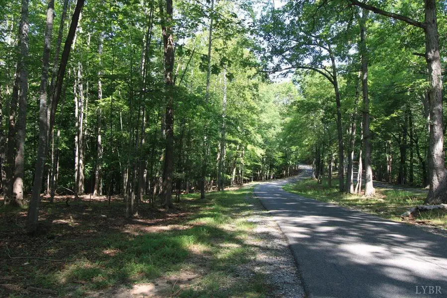 0 Wilderness Way, Moneta, VA 24121 - #3