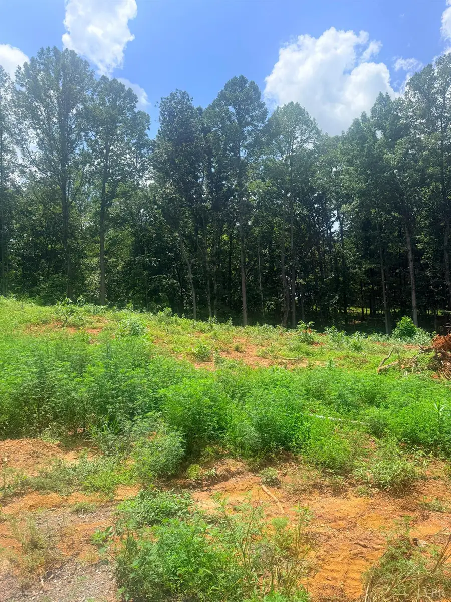 18 Oriole Court, Bedford, VA 24523 - #3