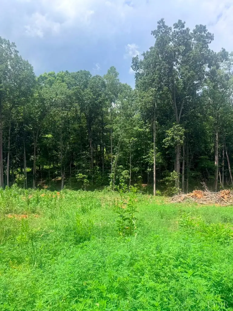 19 Oriole Court, Bedford, VA 24523 - #2