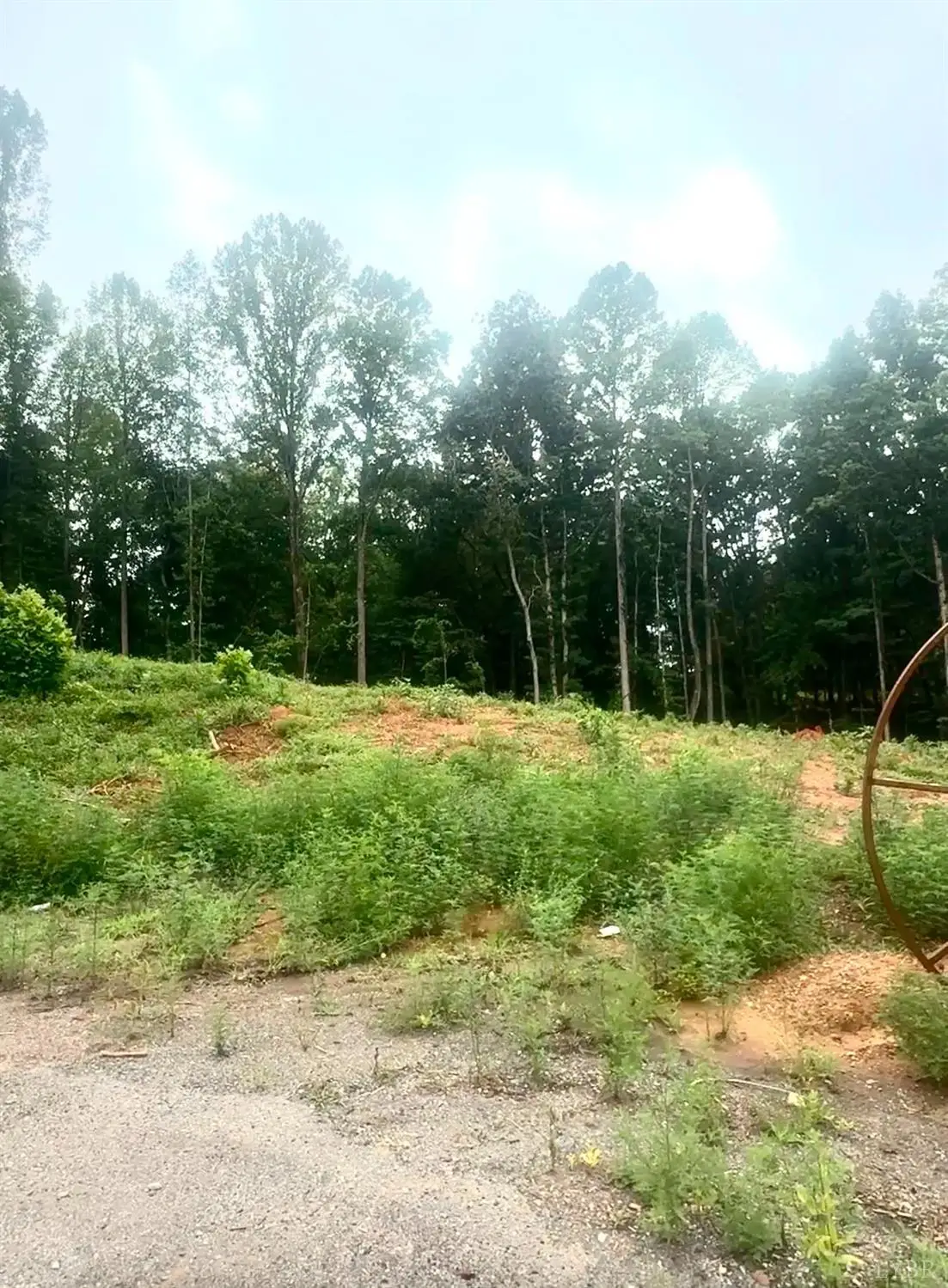 20 Oriole Court, Bedford, VA 24523 - #1