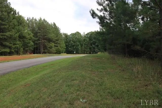 0 Lot 301 Runaway Bay, Lynch Station, VA 24571 - #3