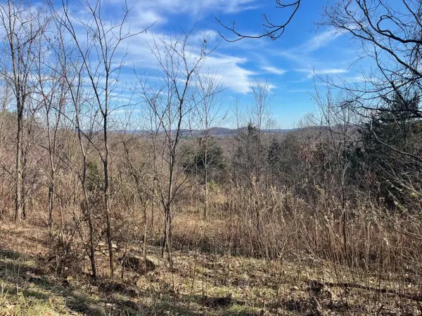 0 Taylors Mountain Road, Thaxton, VA 24174