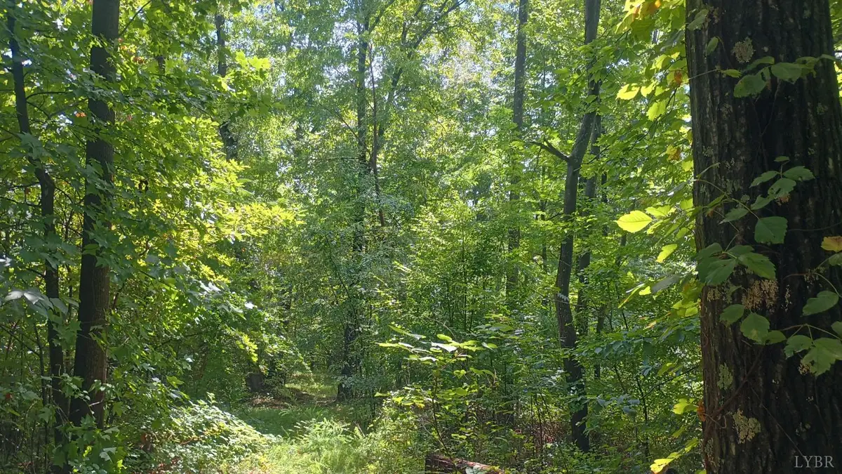 0 Battery Hill Lane, Tyro, VA 22976 - #1
