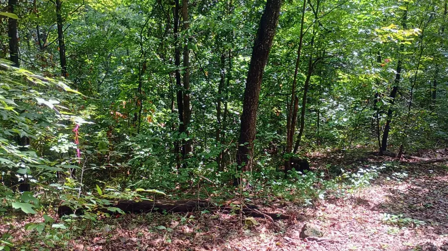 0 Battery Hill Lane, Tyro, VA 22976 - #3