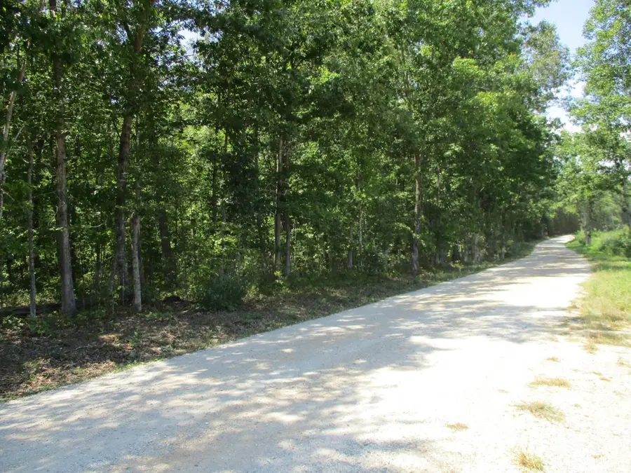 0 0 Amethyst Lane, Amherst, VA 24521 - #2