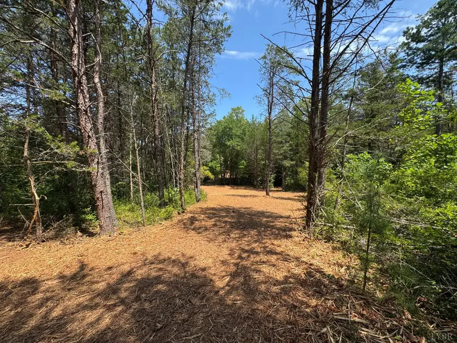 0 Watt Abbitt Road, Appomattox, VA 24522 - #2