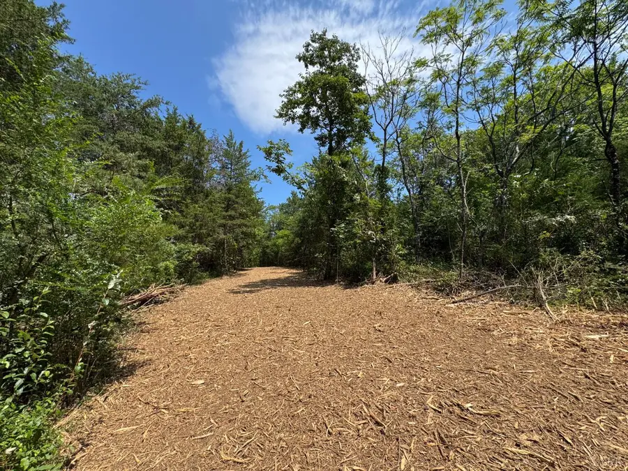 0 Watt Abbitt Road, Appomattox, VA 24522 - #3