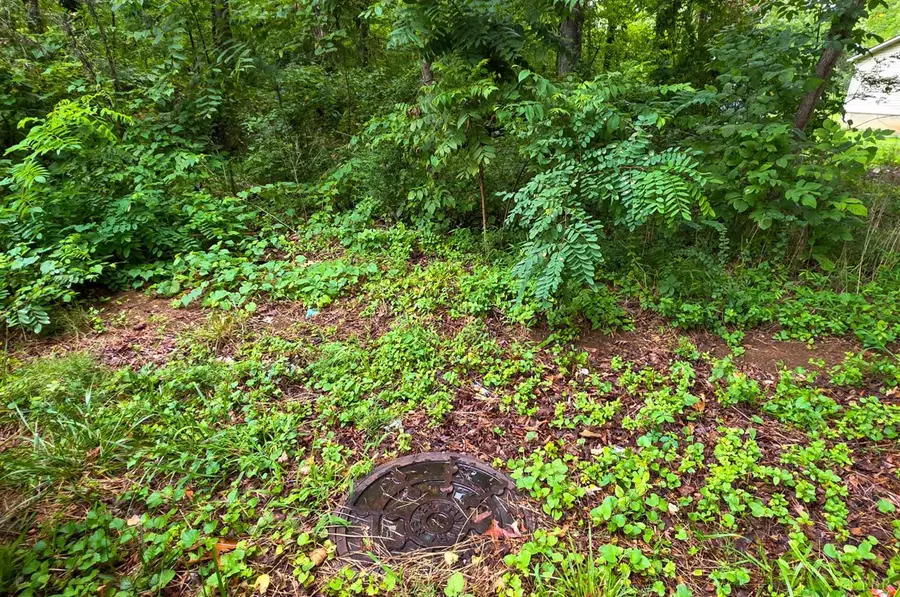 0 Lee Grant, Lot 1 Avenue, Appomattox, VA 24522 - #3