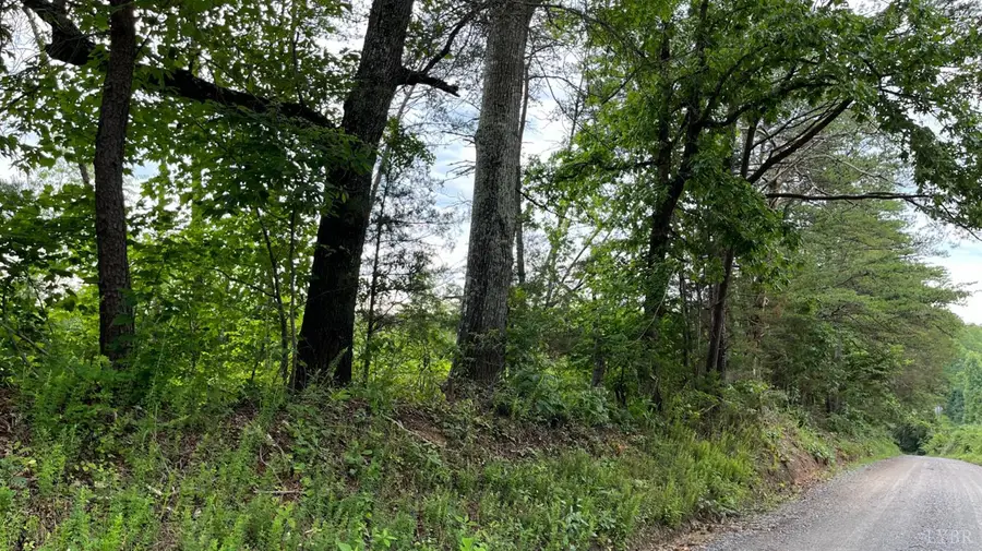 1 Sycamore Creek Road, Buckingham, VA 23921 - #3