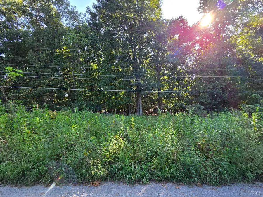 0 Rolling Hill Drive, Forest, VA 24551 - #3