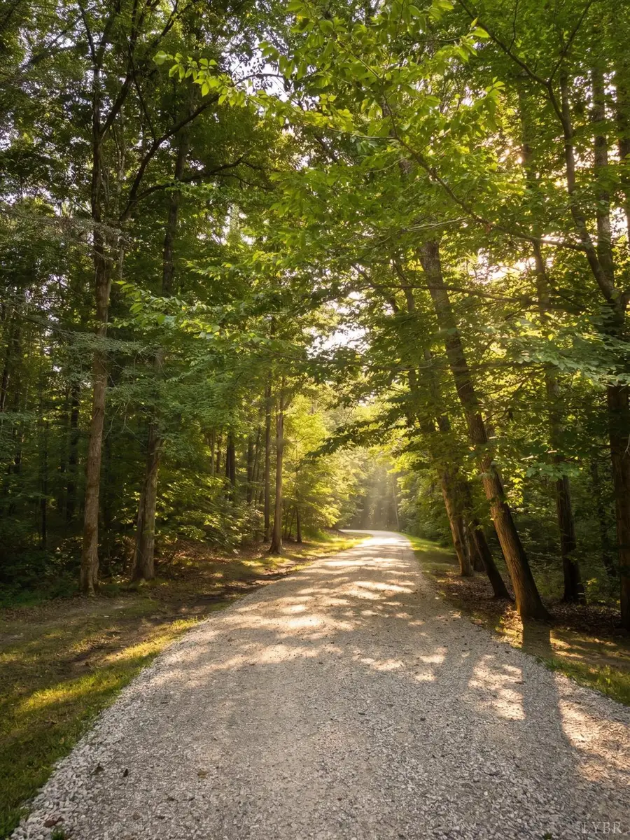 3 Strawberry Run, Crozier, VA 23039 - #2