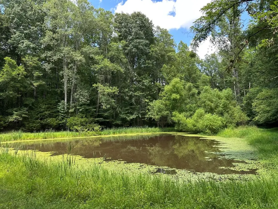 3 Strawberry Run, Crozier, VA 23039 - #3