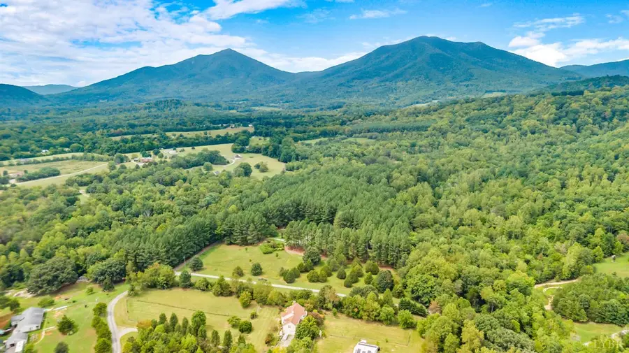 1553 Foxfire Lane, Bedford, VA 24523 - #3