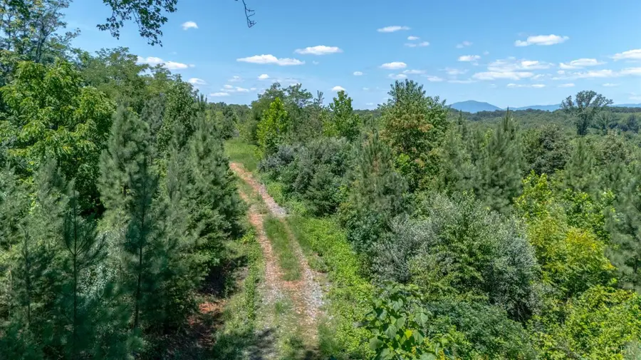 0 Goggin Ford Road, Bedford, VA 24523 - #3