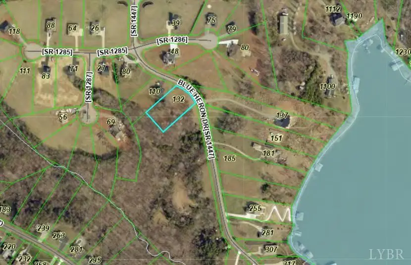 132 Blue Heron Drive, Wirtz, VA 24184 - #2