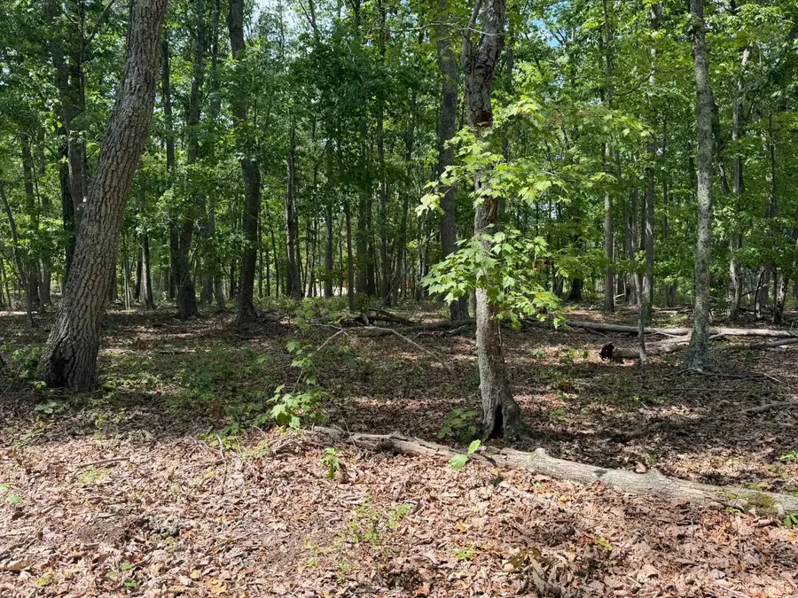 0 Bent Creek Lot 1, Concord, VA 24538 - #2