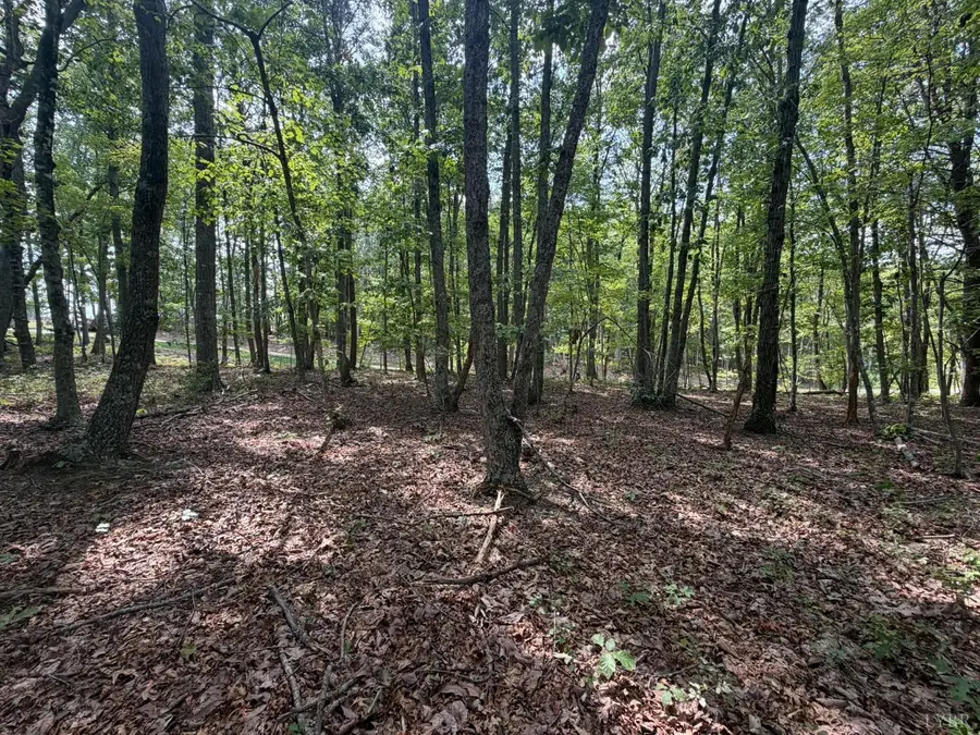 0 Bent Creek Lot 1, Concord, VA 24538 - #3