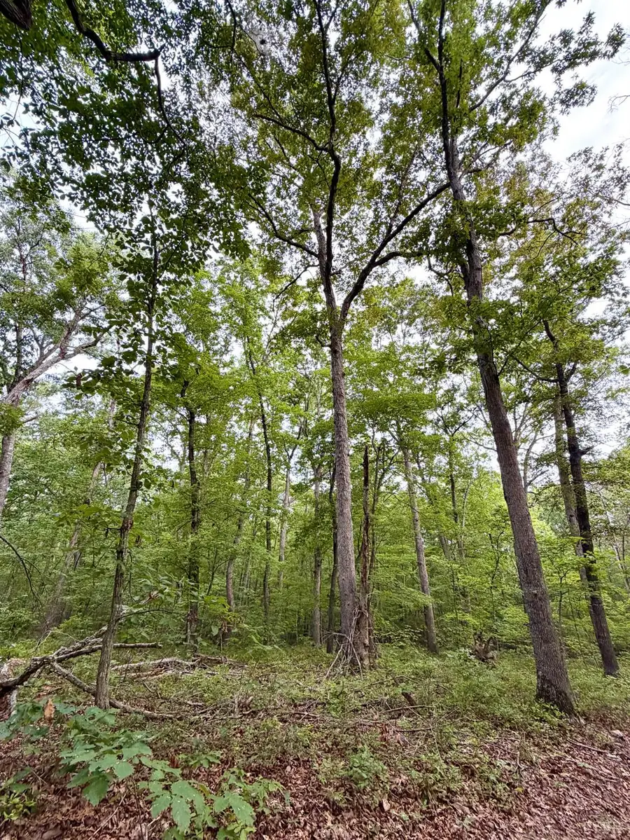 0 Bent Creek A Road, Concord, VA 24538 - #3