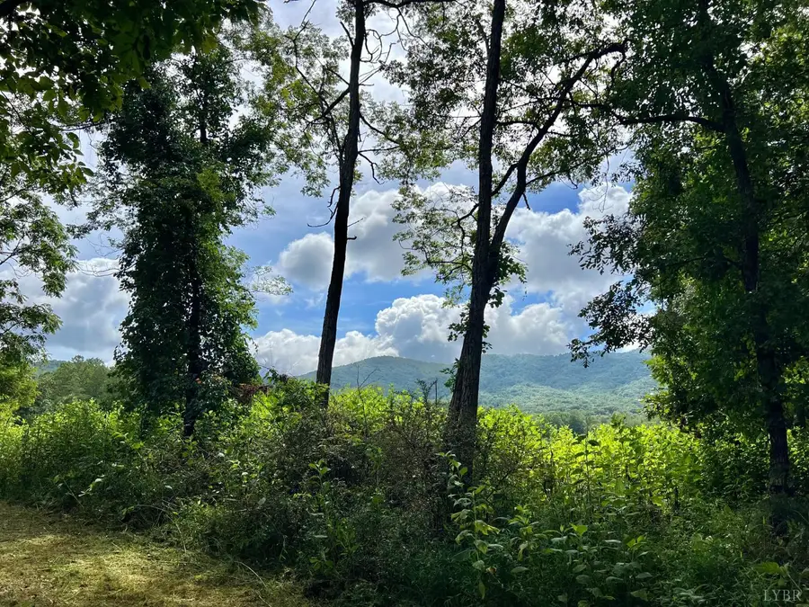 12 Gun Mountain Drive, Monroe, VA 24574 - #2