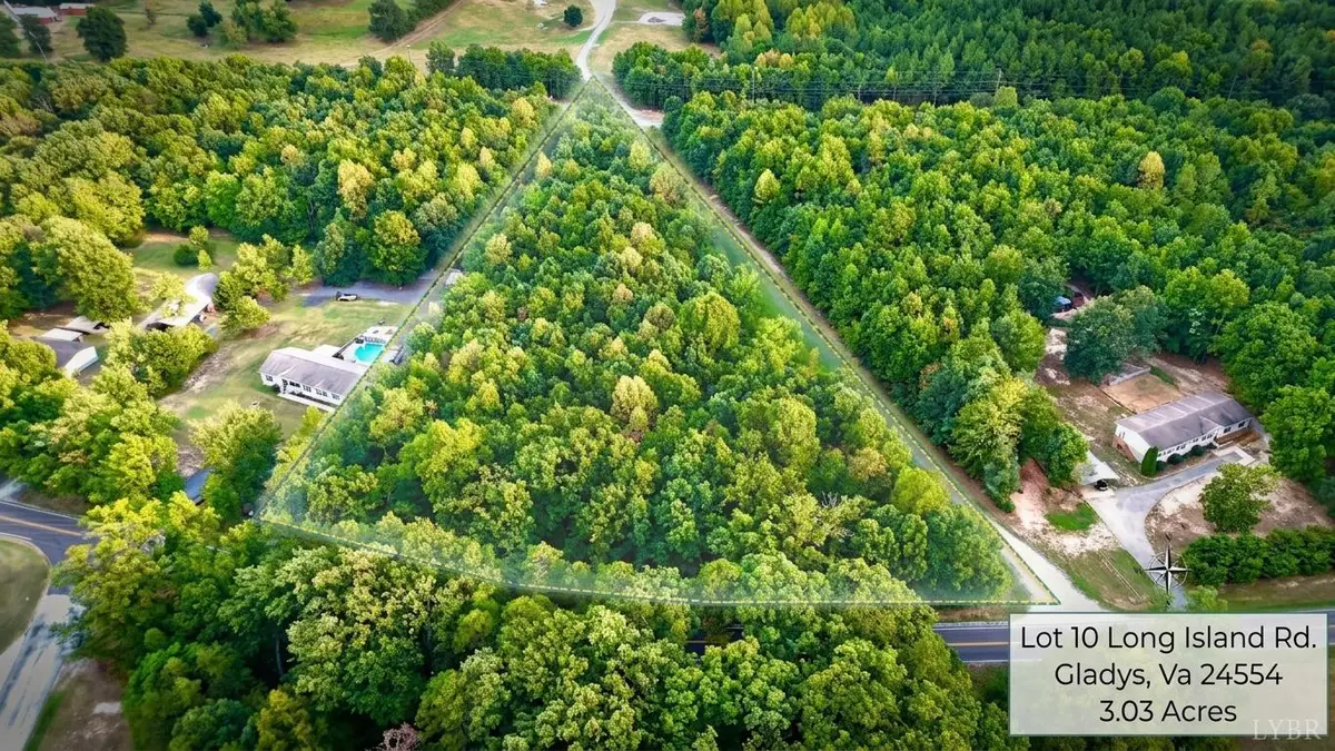10 Long Island Rd, Gladys, VA 24554 - #1