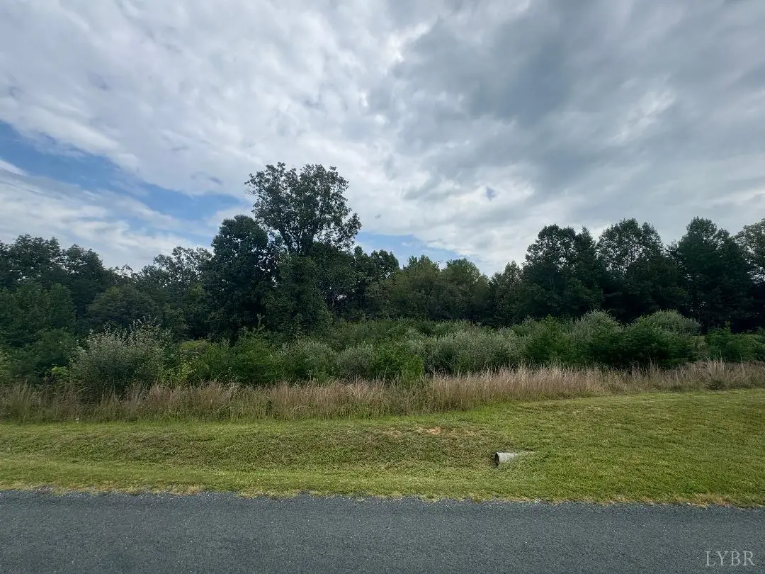 0 Love Lady Creek Road, Monroe, VA 24574 - #1