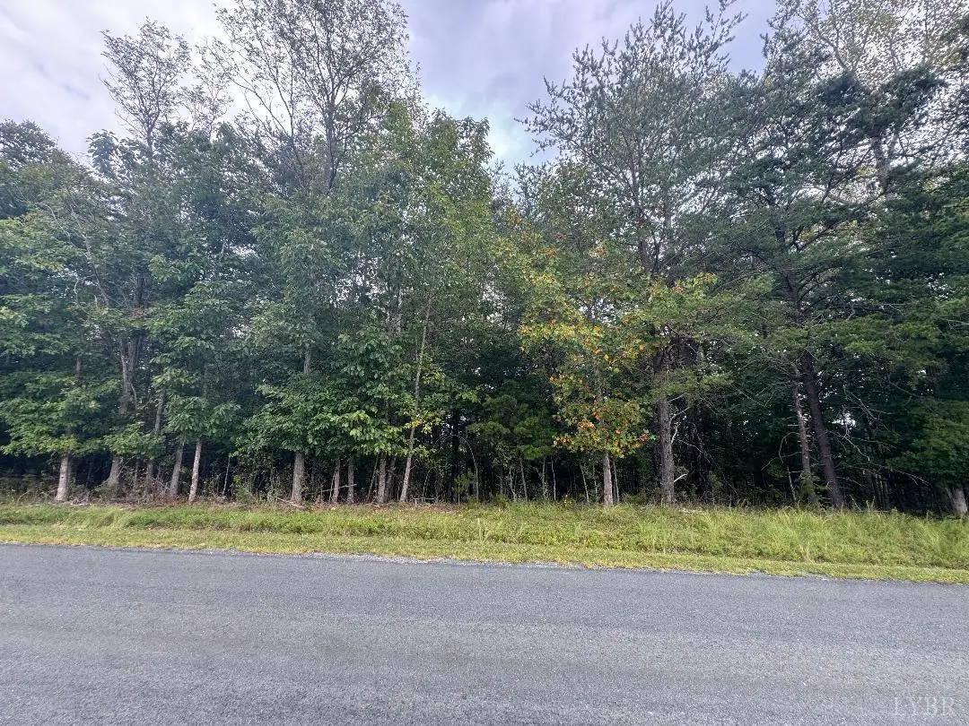 0 Love Lady Creek Road, Monroe, VA 24574 - #1